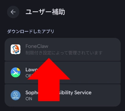 android restricted setting 001